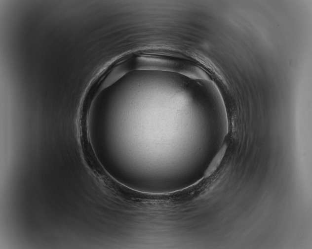 X0000093430436200710121204