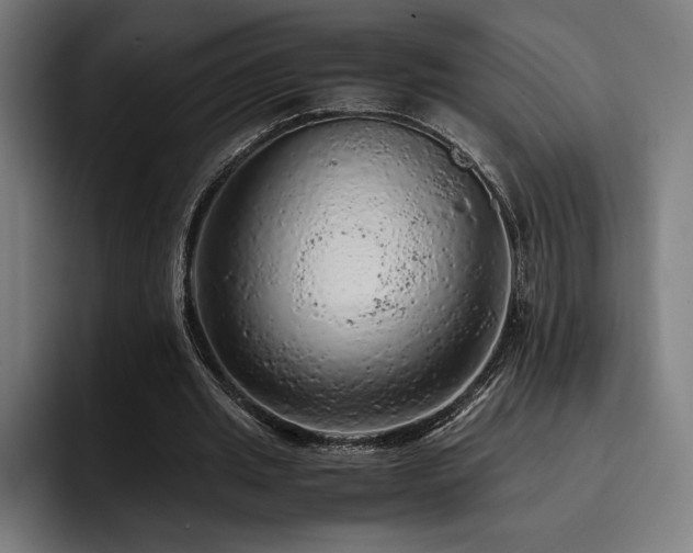 X0000093430437200710121204