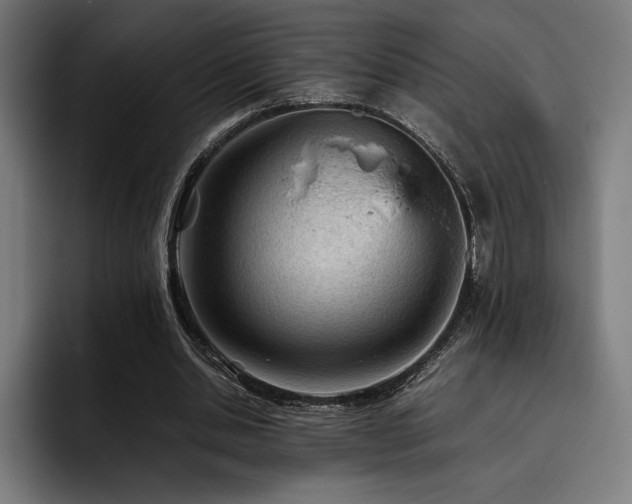 X0000093430438200710121204
