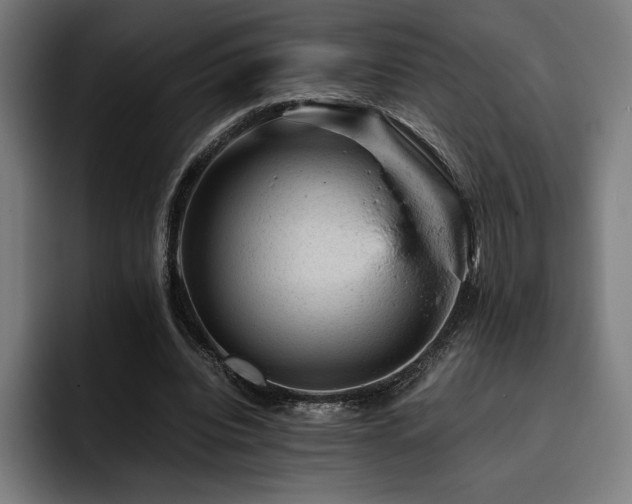 X0000093430440200710121204