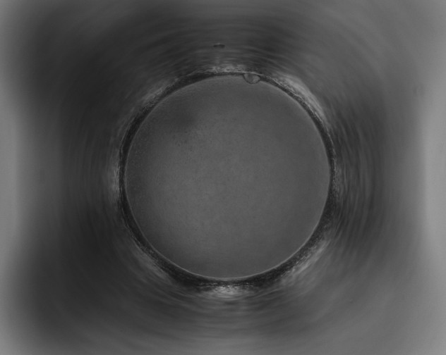 X0000093430441200710121204