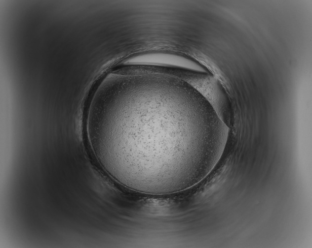 X0000093430442200710121204