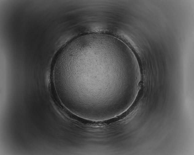 X0000093430443200710121204