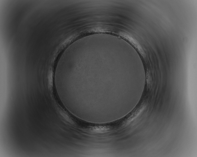 X0000093430445200710121204