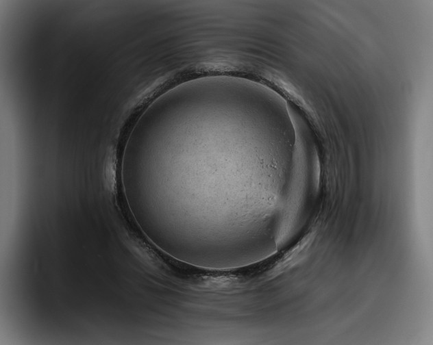 X0000093430446200710121204