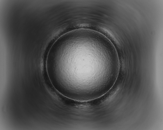 X0000093430447200710121205