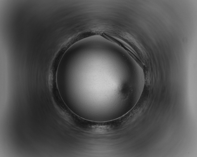 X0000093430448200710121205