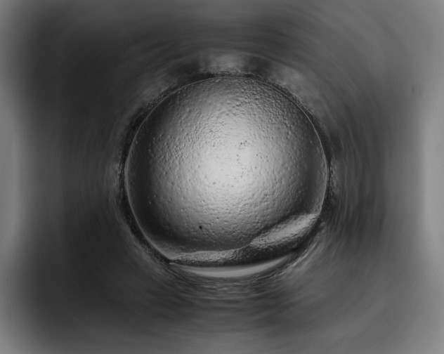 X0000093430449200710121205