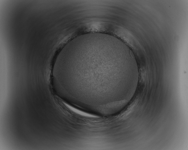 X0000093430450200710121205