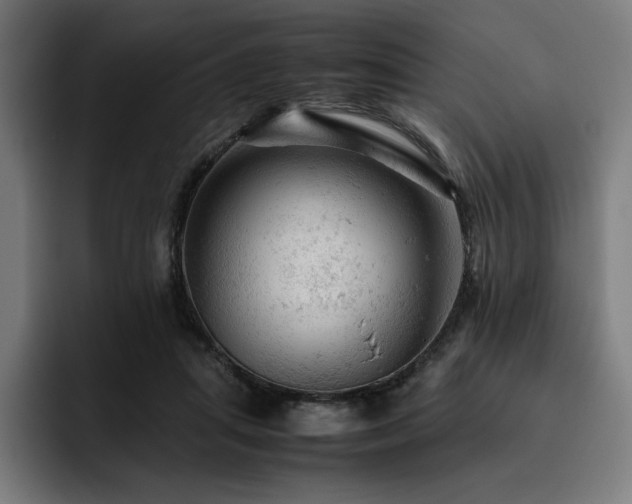 X0000093430455200710121205