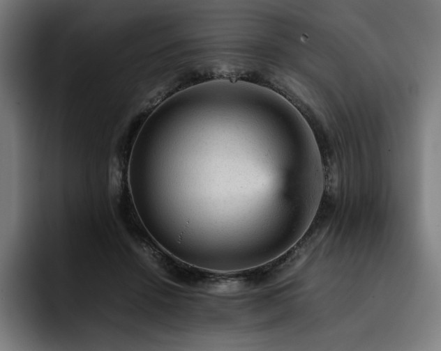 X0000093430456200710121205
