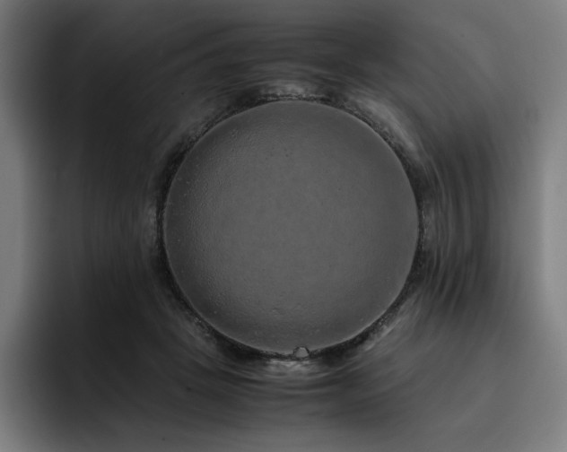 X0000093430457200710121205