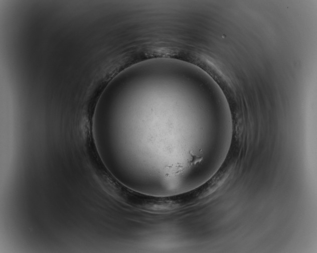 X0000093430459200710121205