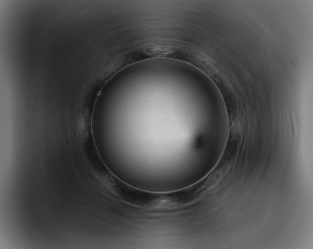 X0000093430460200710121205