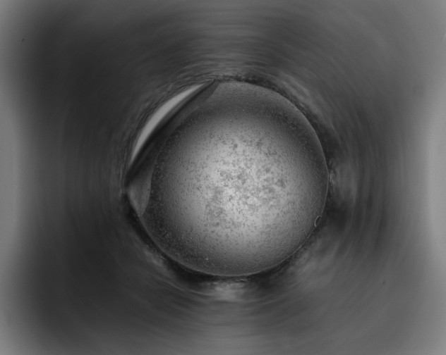 X0000093430462200710121205