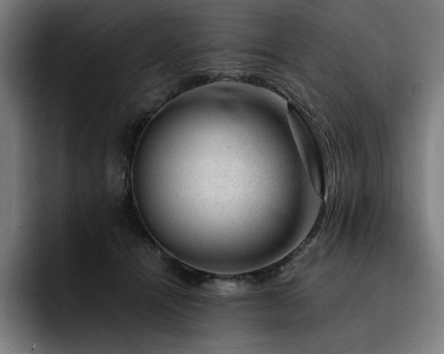X0000093430464200710121205