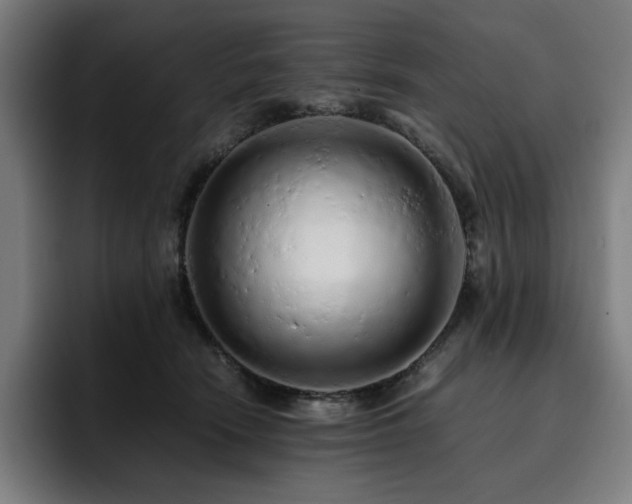 X0000093430466200710121205
