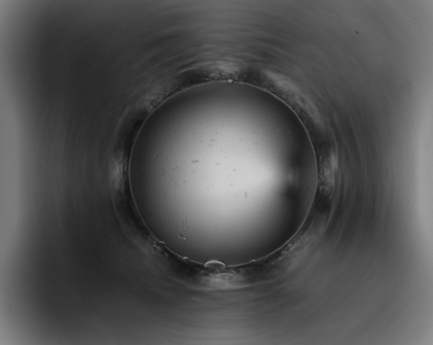 X0000093430468200710121205