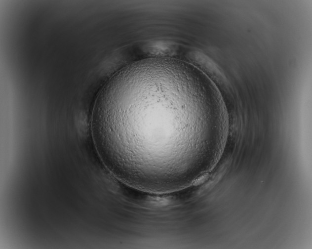 X0000093430469200710121205