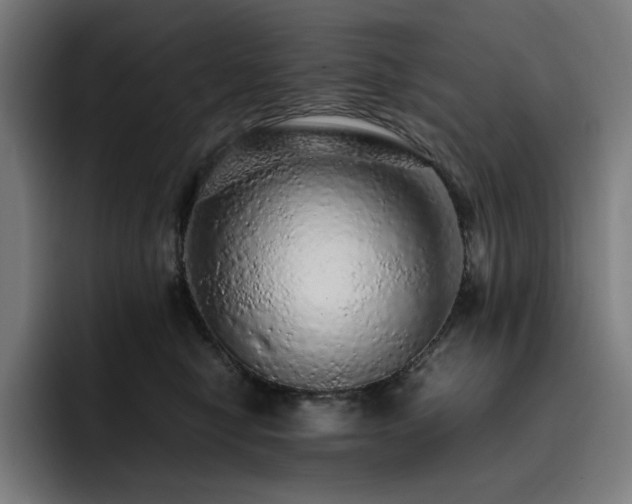 X0000093430470200710121205