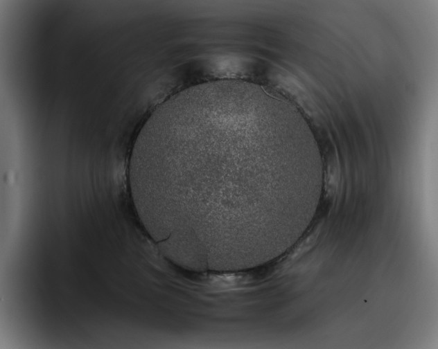 X0000093430473200710121205