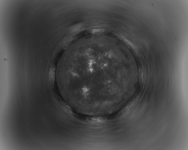 X0000093430475200710121205