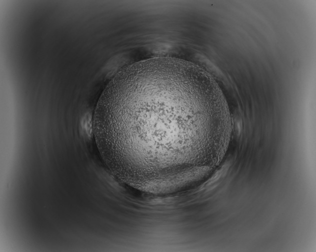 X0000093430479200710121205