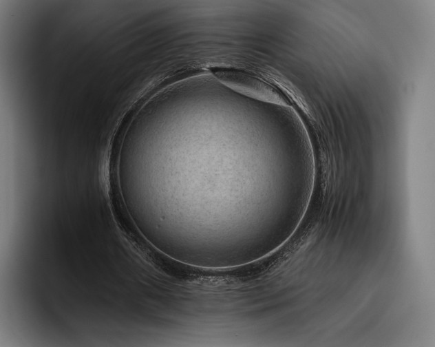 X0000093430482200710121204