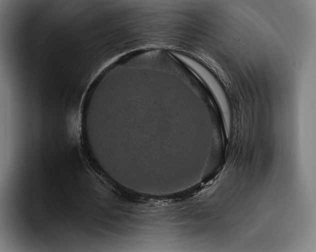 X0000093430484200710121204