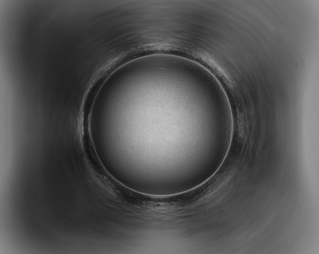 X0000093430486200710121204
