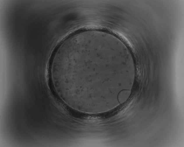 X0000093430487200710121204