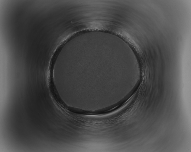 X0000093430488200710121204