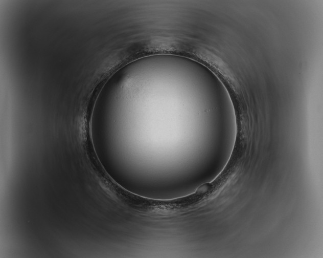 X0000093430489200710121204