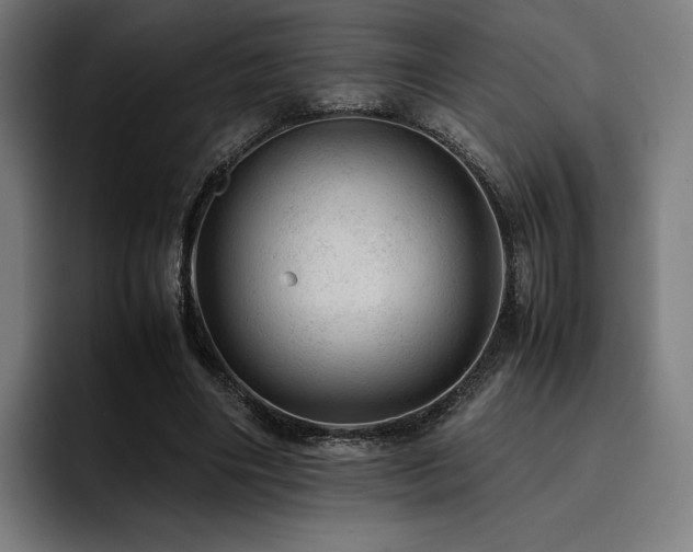 X0000093430490200710121204
