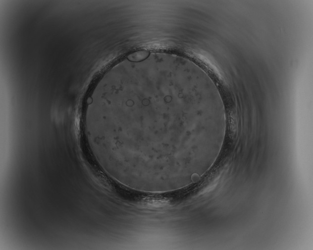 X0000093430491200710121204