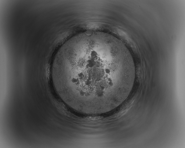 X0000093430495200710121204