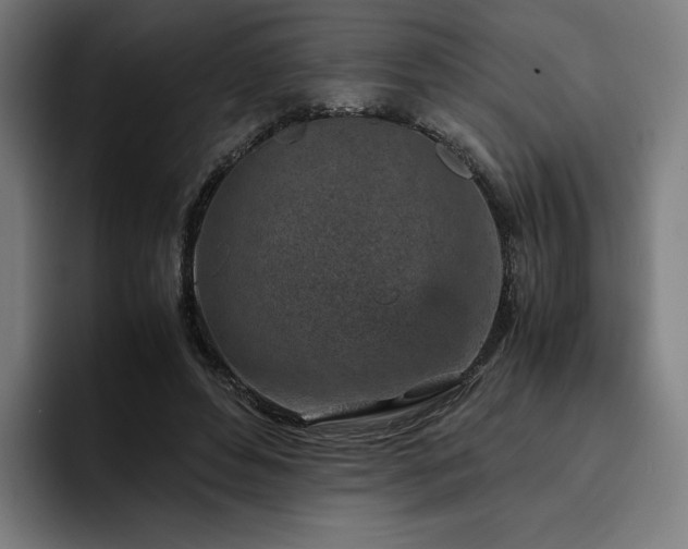 X0000093430496200710121204