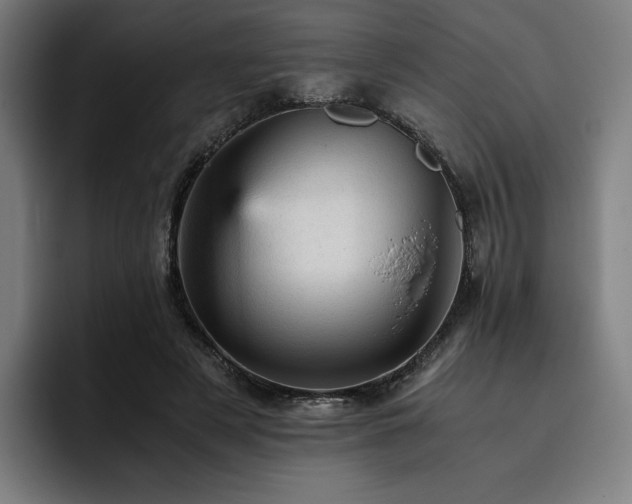 X0000093430497200710121204