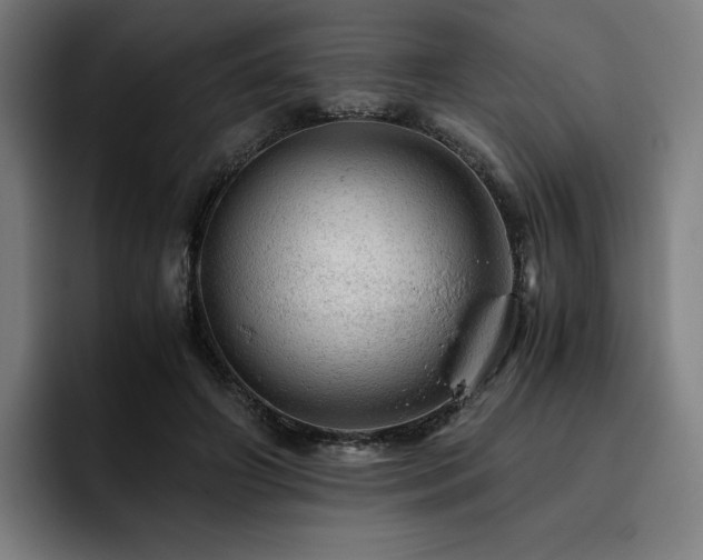 X0000093430498200710121204