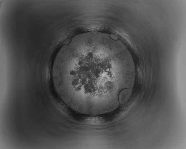 X0000093430499200710121204