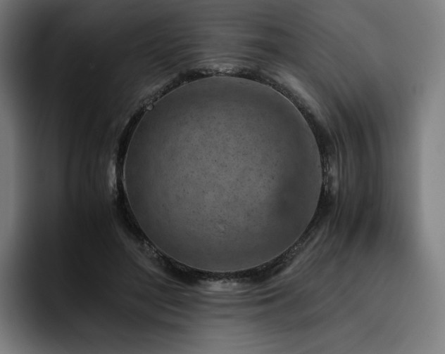 X0000093430500200710121204