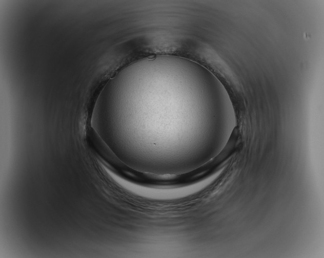 X0000093430501200710121204