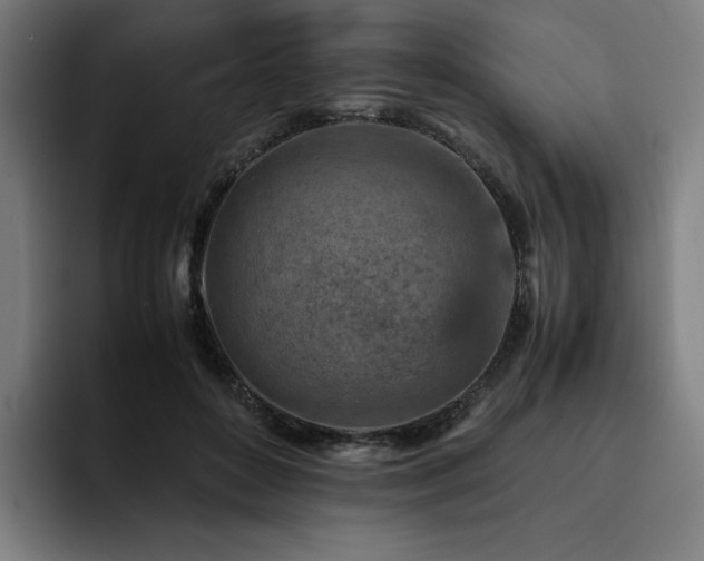 X0000093430504200710121204