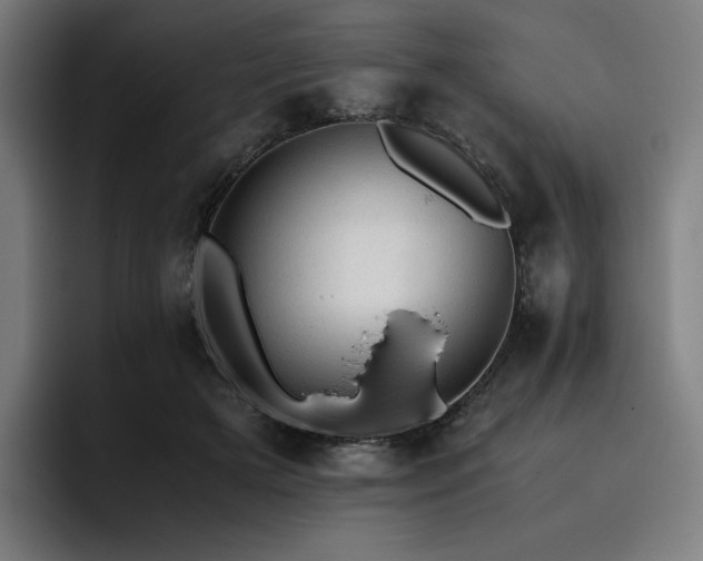 X0000093430505200710121204