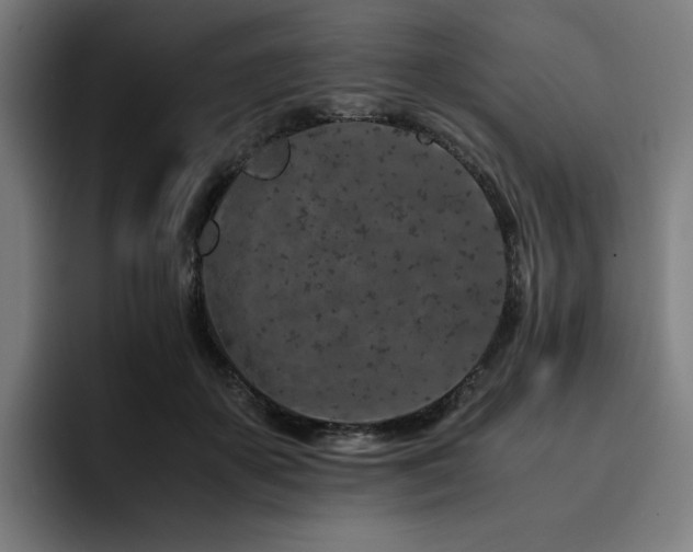 X0000093430507200710121204