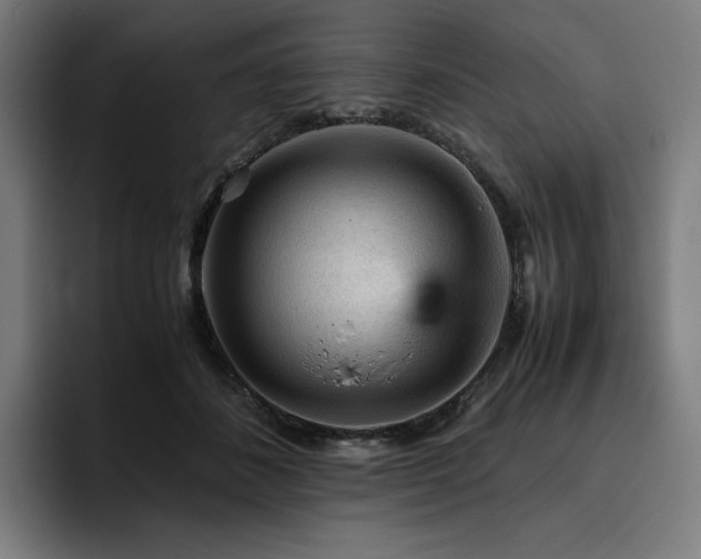 X0000093430508200710121204