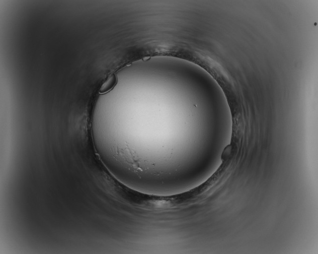 X0000093430509200710121204