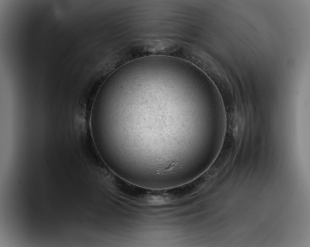X0000093430510200710121204