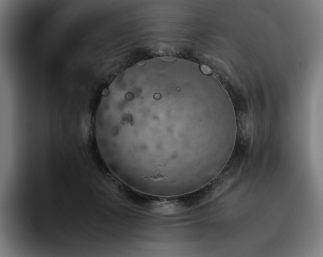 X0000093430511200710121204