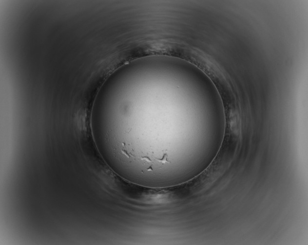 X0000093430514200710121204